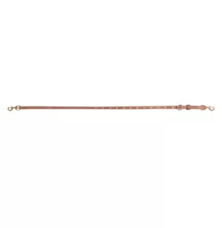 0.75-inch Harness Tiedown Strap