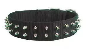 16” PET COLLAR -BLACK – SPIKE
