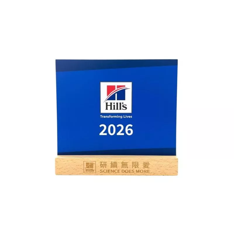 [] 2026 (100% off)