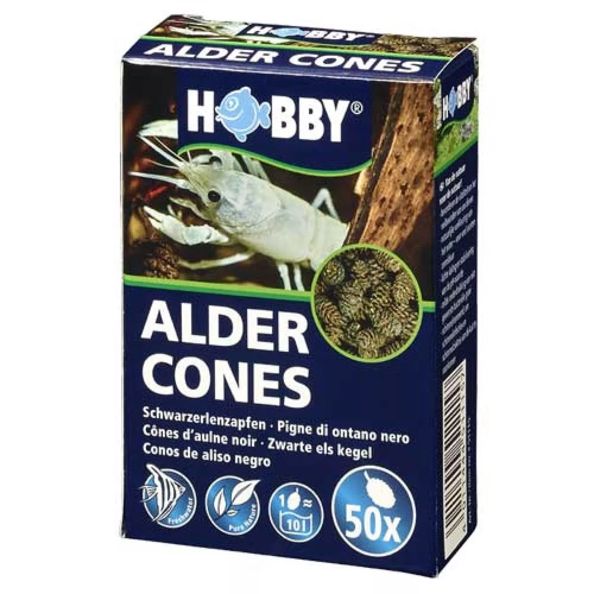 Alder Cones 50 Pieces