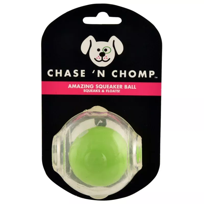 Amazing Squeaker Ball Assorted