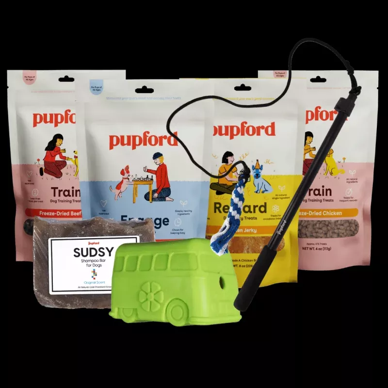 Amber Aquart Favorites Pack