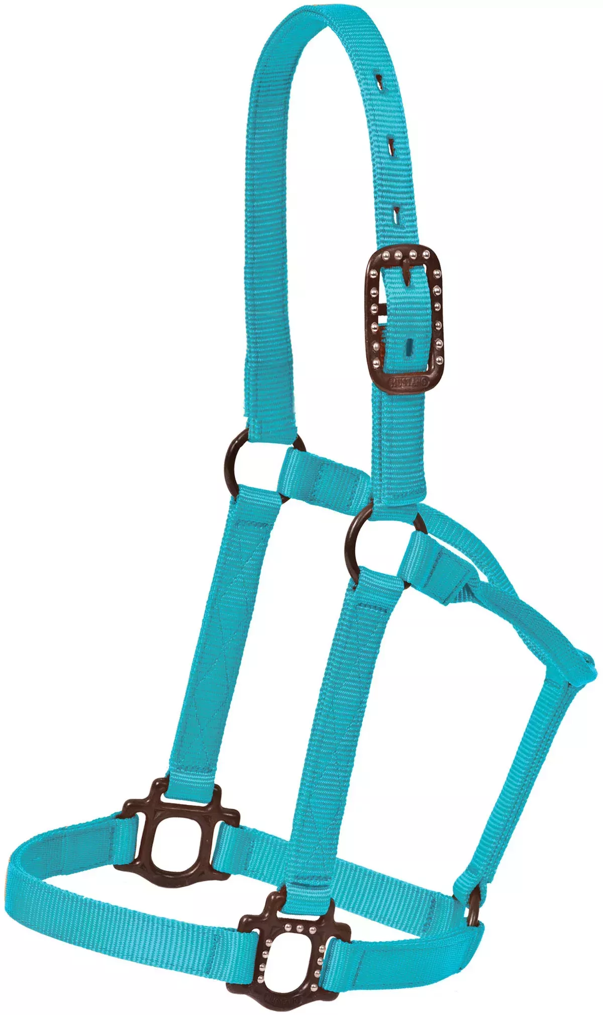 Antique Dot Halter 1″ – AQUA