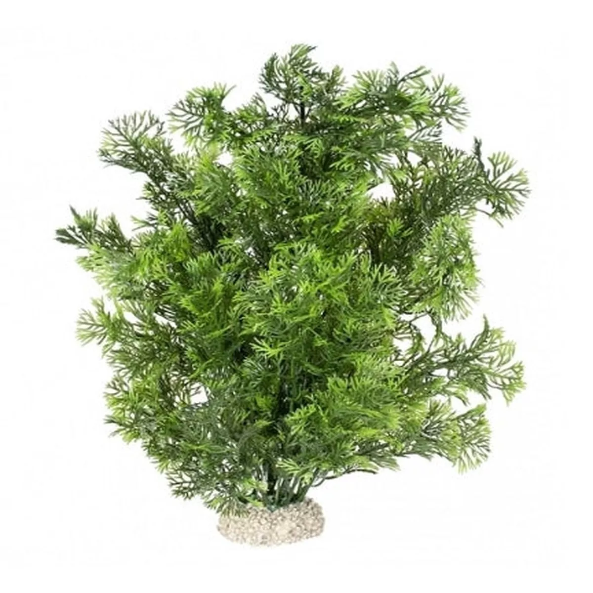 Aqua D'Ella Plant Phoenix for Aquariums