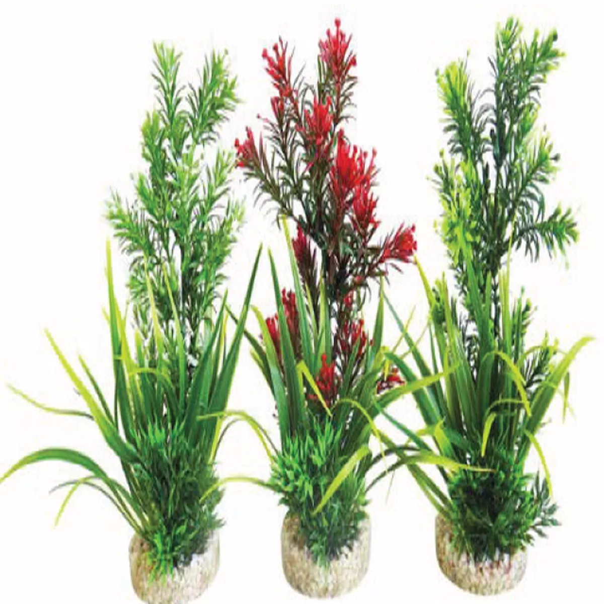 AQUAPLANT MEDIUM