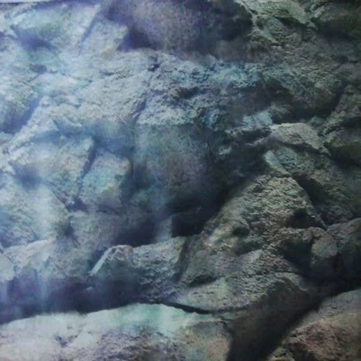 AQUARIUM BACKGROUND