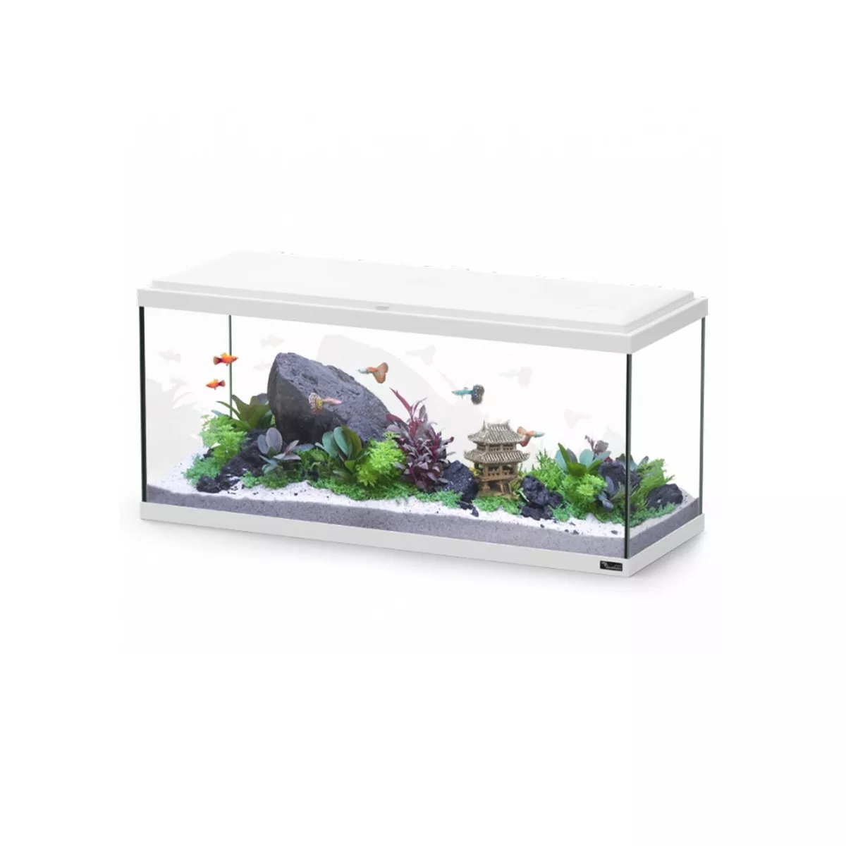 AQUATLANTIS EXPLORER AMSTERDAM 80 COL025 WHITE