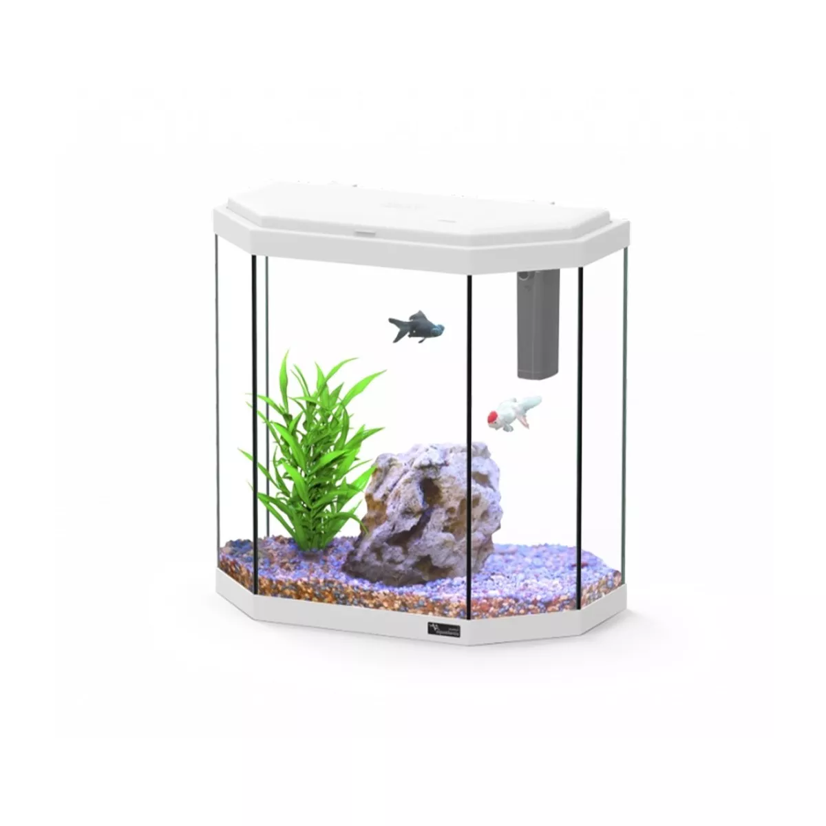 AQUATLANTIS EXPLORER ROME C25 COR025 WHITE