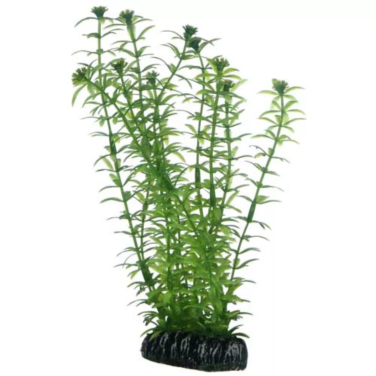 Artificial Plant Lagarosiphon