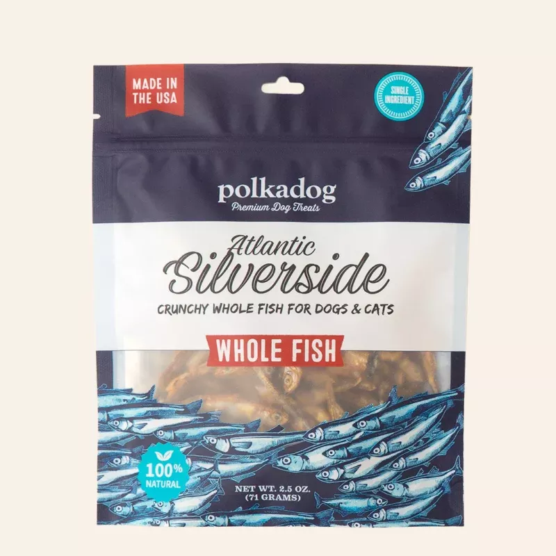 Atlantic Silverside Fish