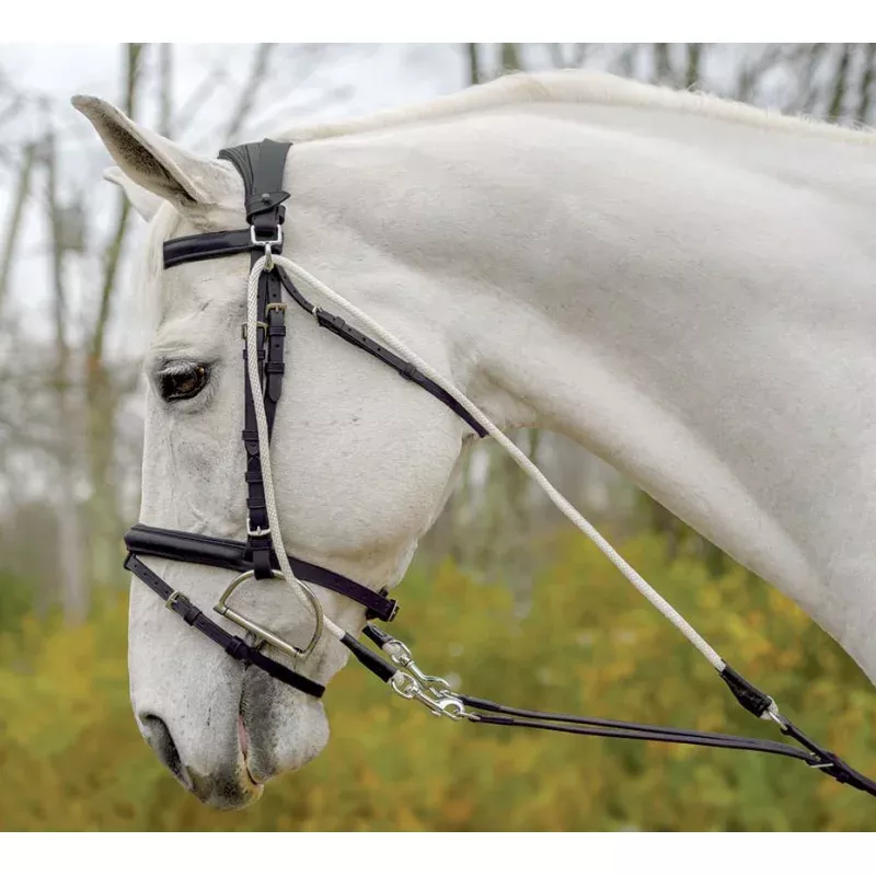 Avignon De Gogue Training Aid Black