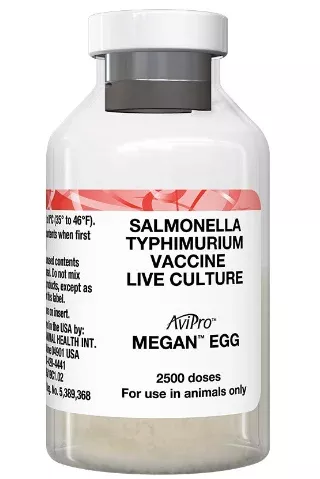 Avipro Megan Egg