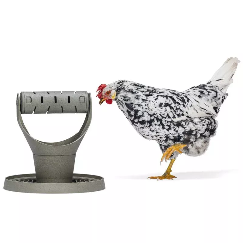Backyard Chicken Feed Tower Promotes Exercise and Mental Stimulation