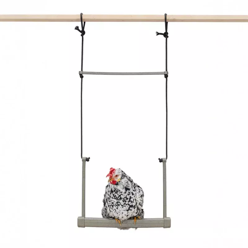 Backyard Chicken Swing Durable, Recycled Material for Flock Activity