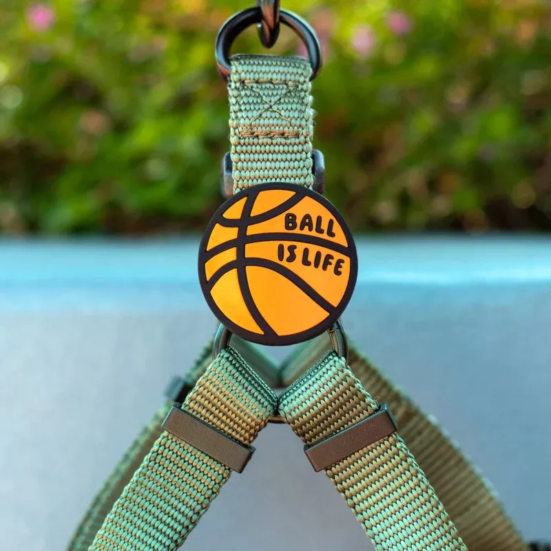 Ball is Life Jiby Dog Charm