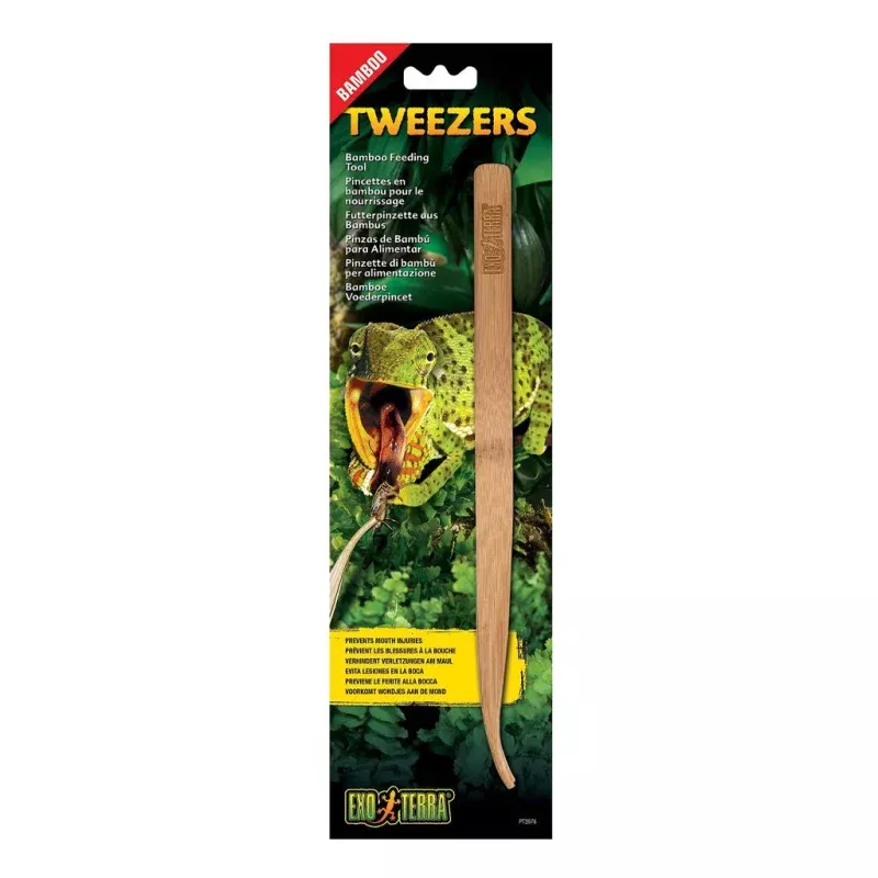 Bamboo Tweezers Feeding Tool