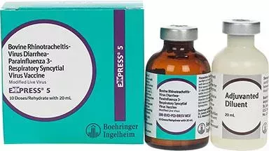 BI, Express 5, 10 Doses