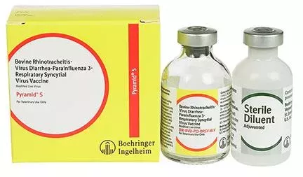 BI, Pyramid 5, 10 Doses
