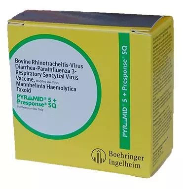 BI, Pyramid 5+Presponse SQ, 10 Doses