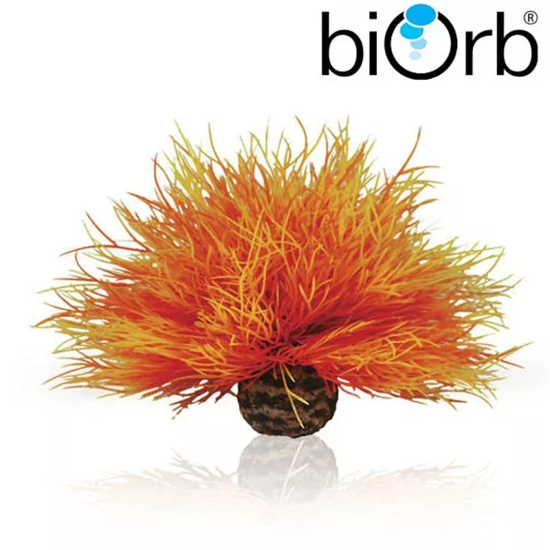 BiOrb Aquatic Sea Lily Flame 46085