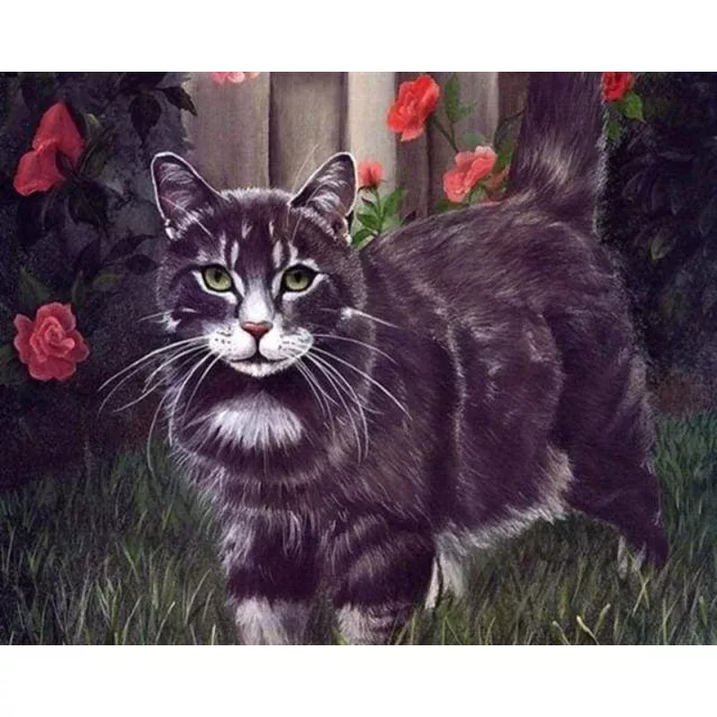 Black Cat – Transform Your Backyard into a Wildlife Oasis for All Creatures