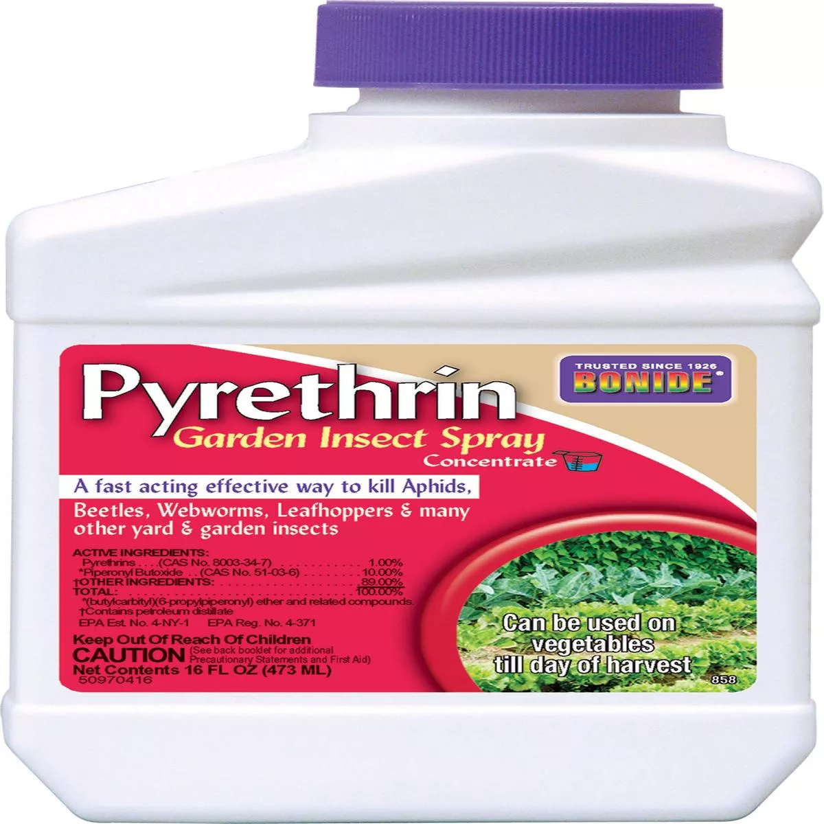 Bonide Pyrethrin Garden Insect Spray Concentrate – 1 PT