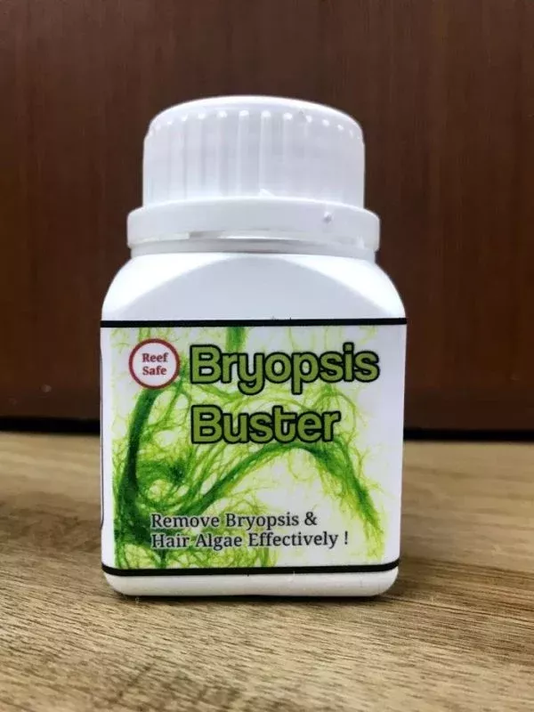 Bryopsis Buster- Fluconazole Treatment