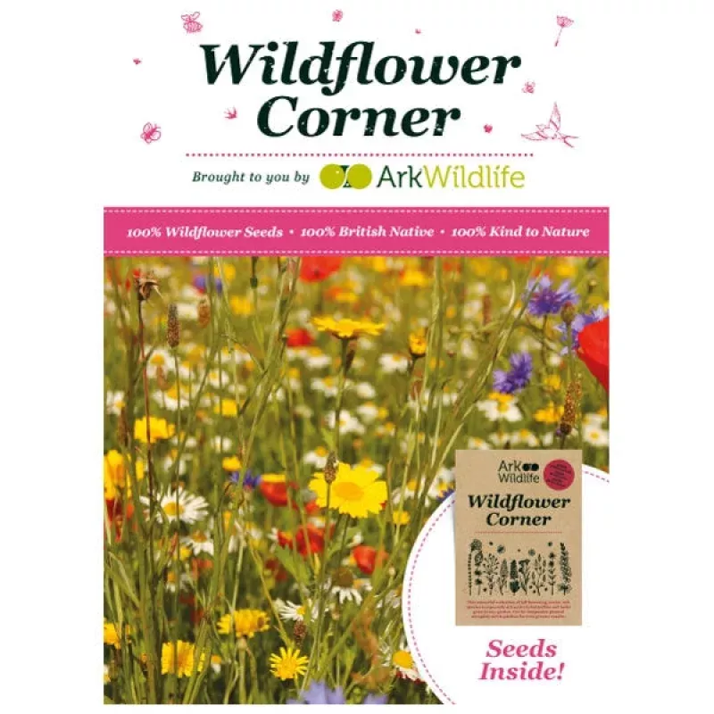 Bumblebee Wildflower Seed Mix