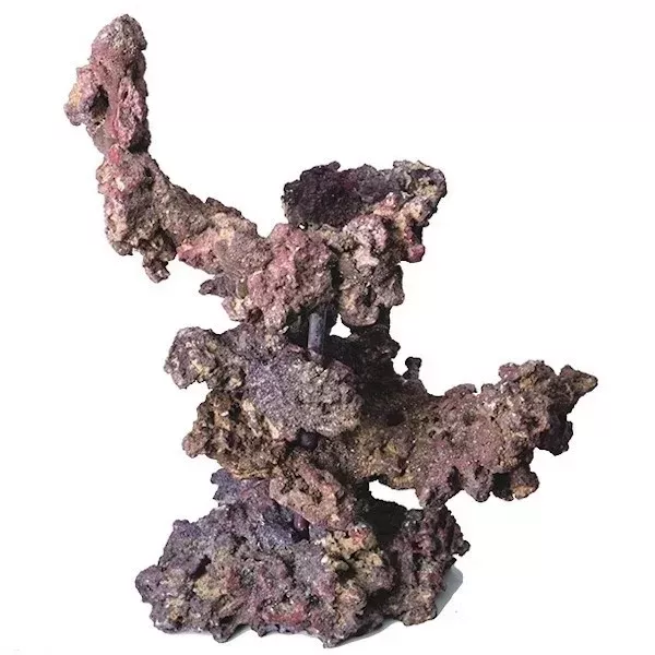Caribsea Reef Tree Kit with Arches