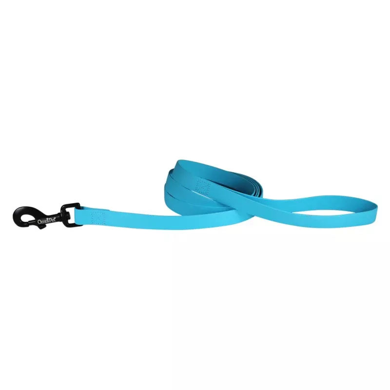 Carnival Dog Leash Light Blue