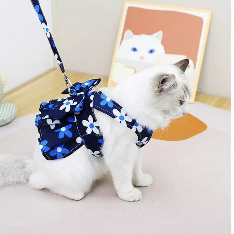 Cat Clothes Blue Chest