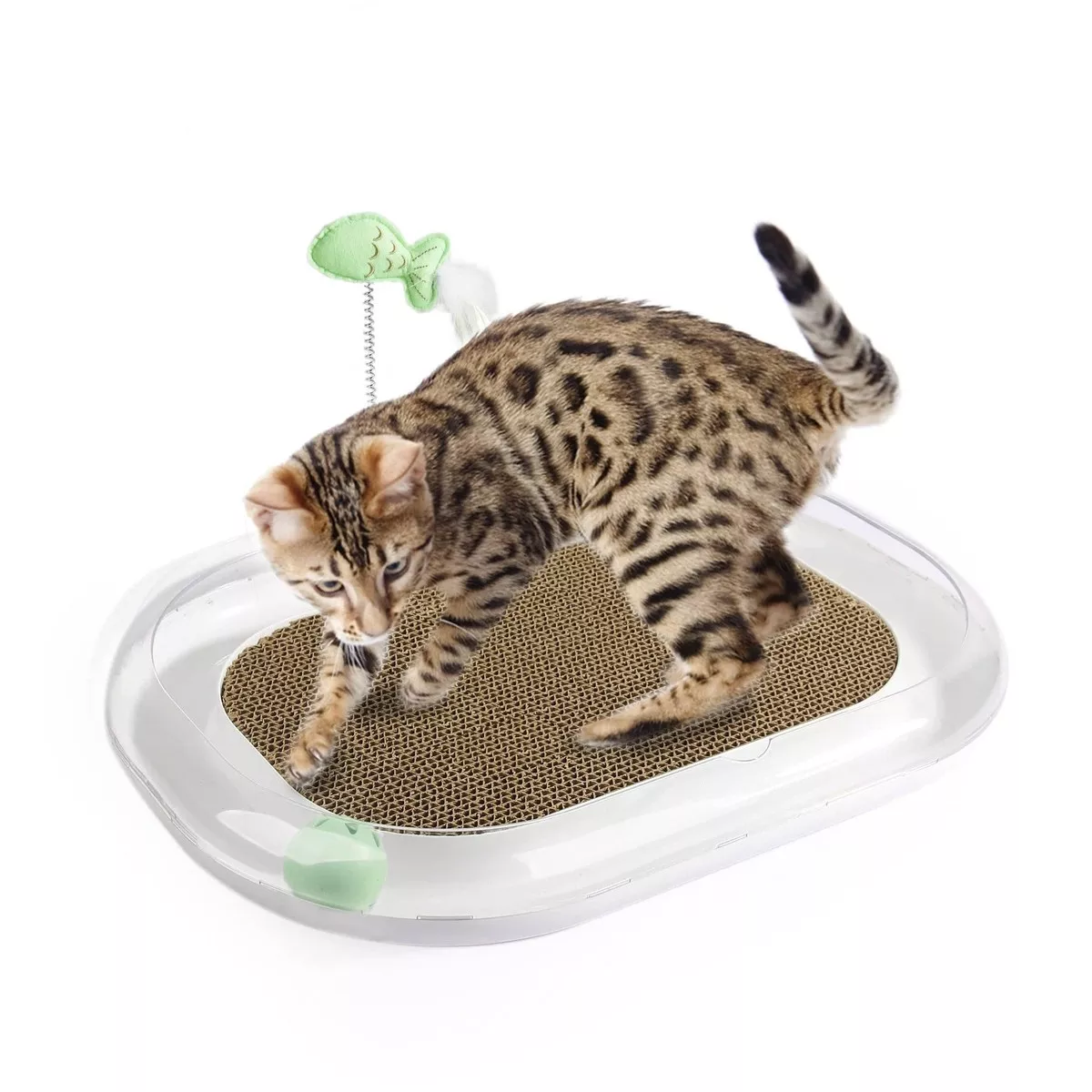 Cat Runway Scratcher
