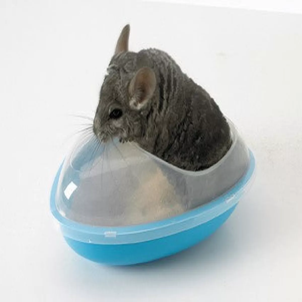 CHINCHILLA WELLNESS BATH