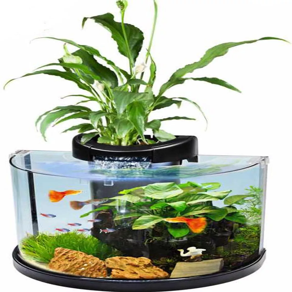CLEAR MOON PREMIUM AQUARIUM