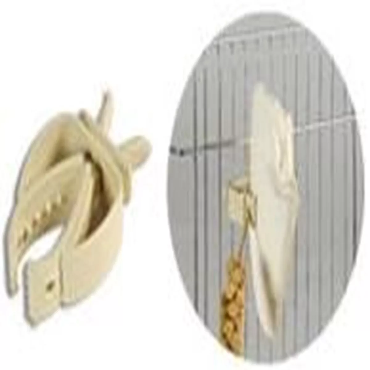 CLIP SHARK