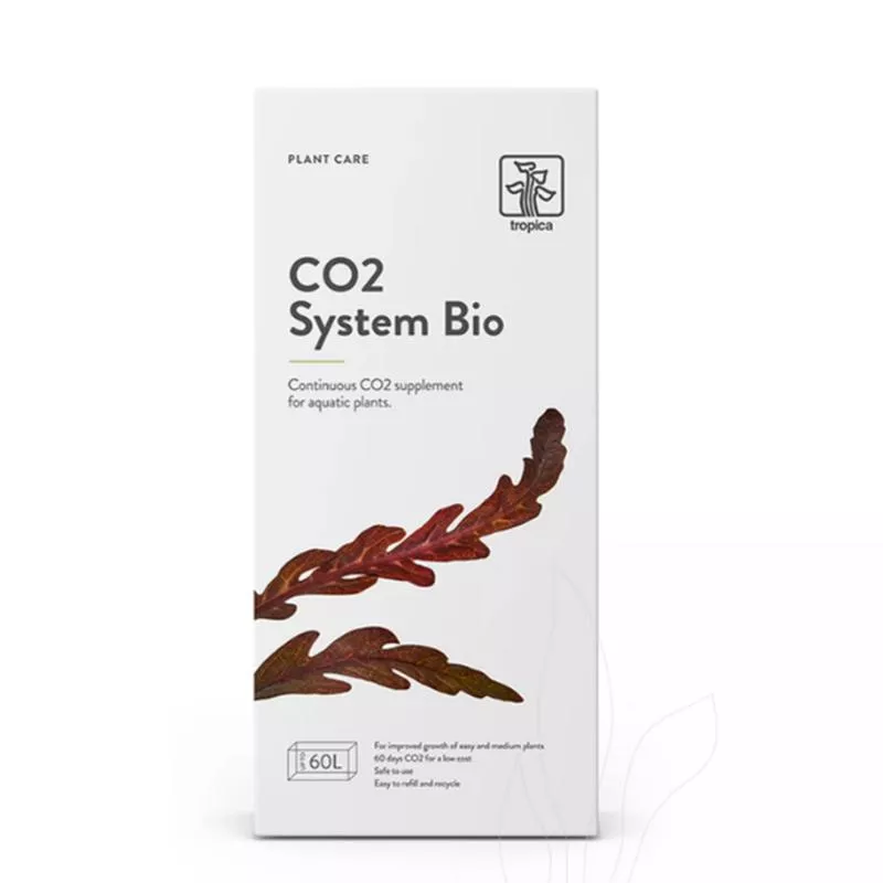 CO2 System BIO