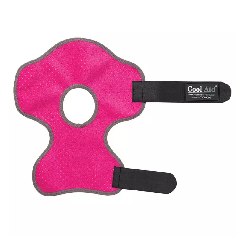 CoolCore Equine Icing and Cooling Hock Wraps, Pair Turquoise