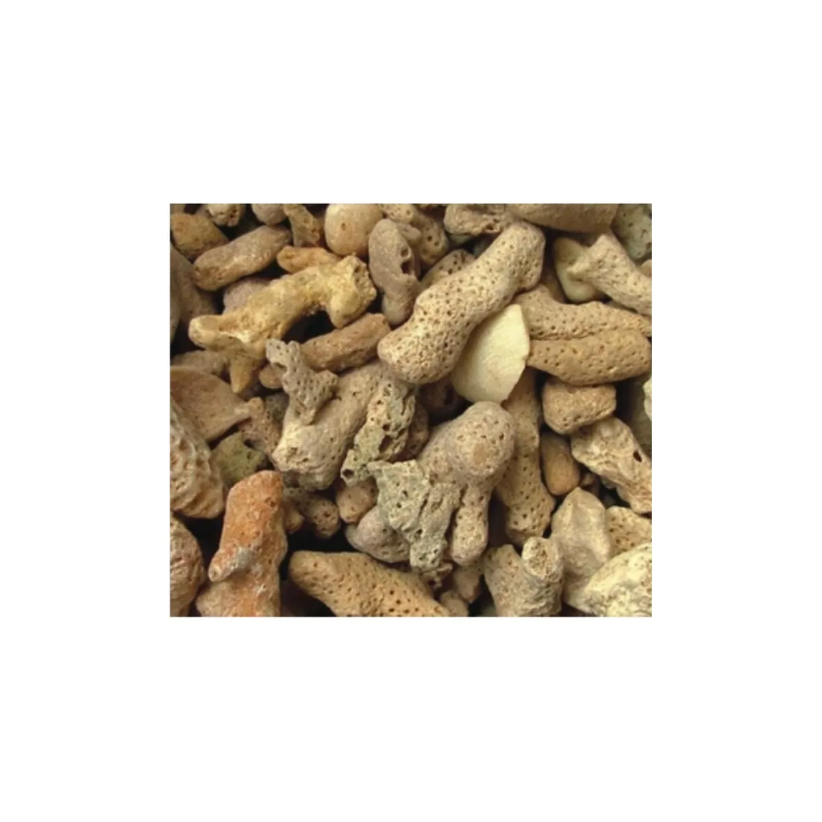 Coral Gravel 24 cm