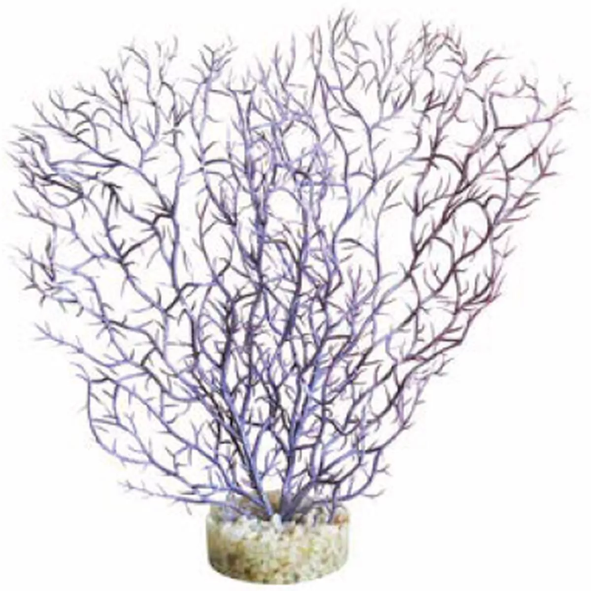 CORAL HEDGE