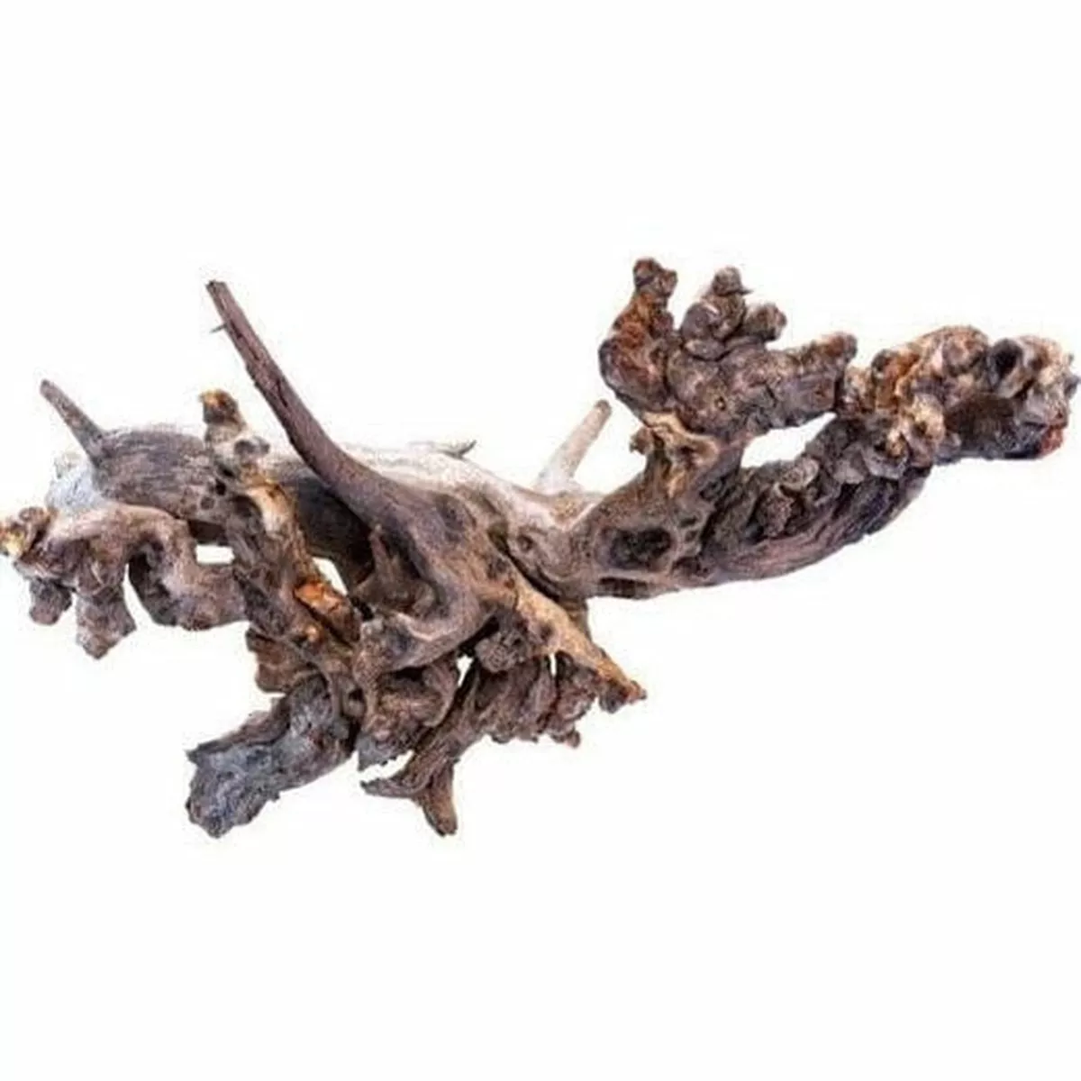 coral wood-MIX Size per KG