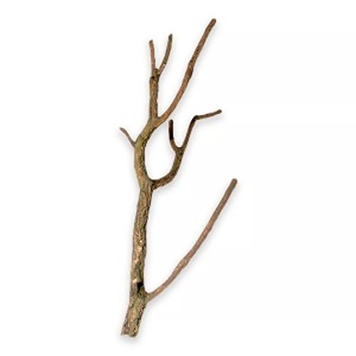 Cork Branch