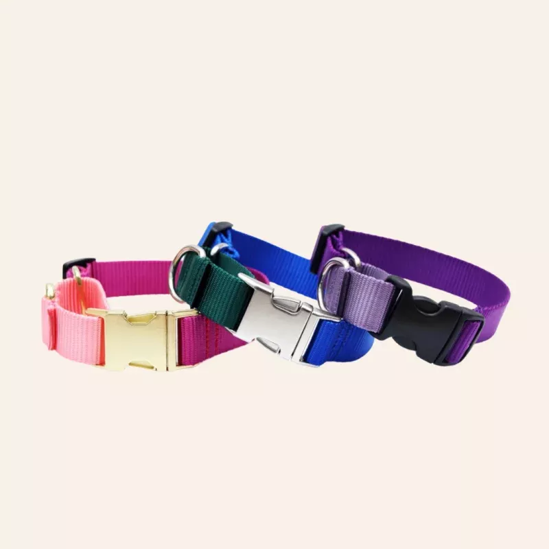 Custom Two-Toned Nylon Martingale Quick Release Dog Collar