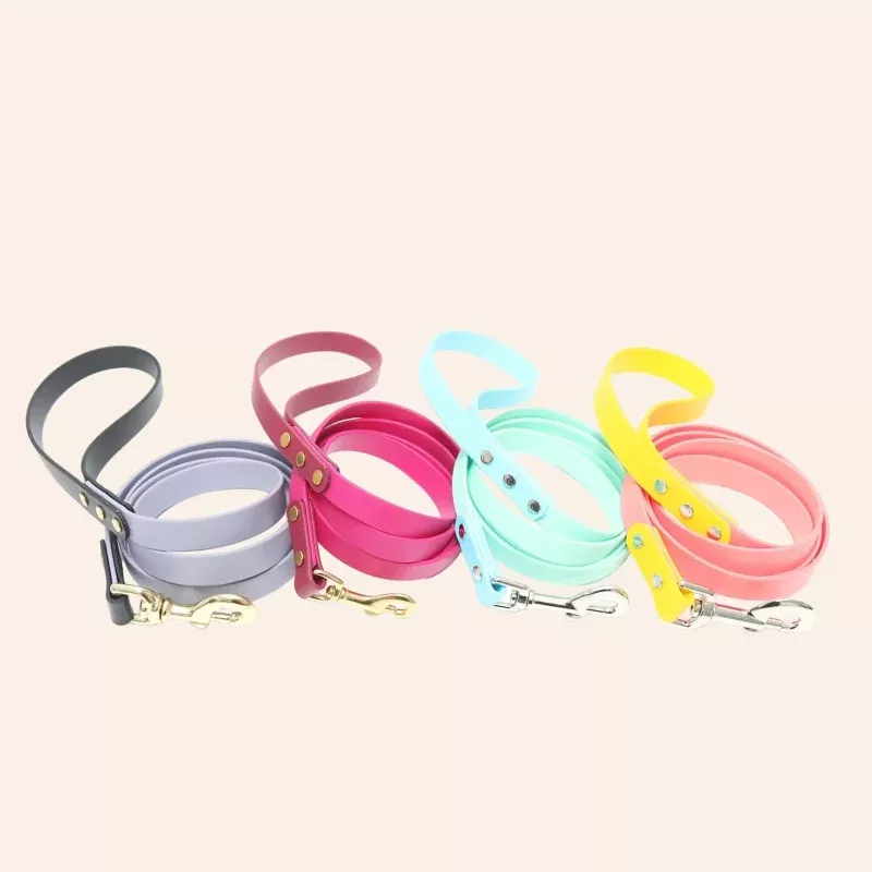 Custom Waterproof Biothane Dog Leash