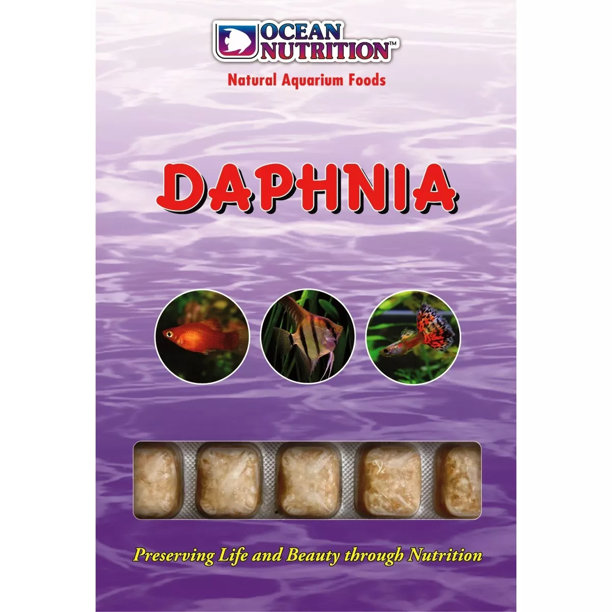 Daphnia 100 g
