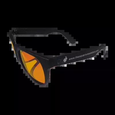 DD Coral View Glasses
