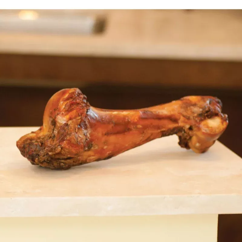 Dino Bone, 12″ – 14″L