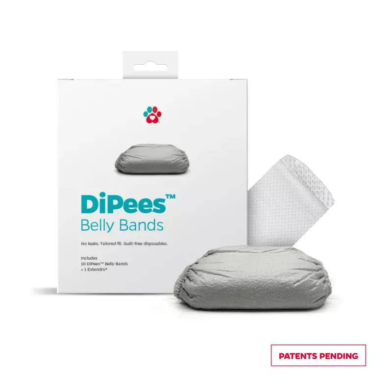 DiPees Disposable Belly Bands Grey / Small / 10 Pack