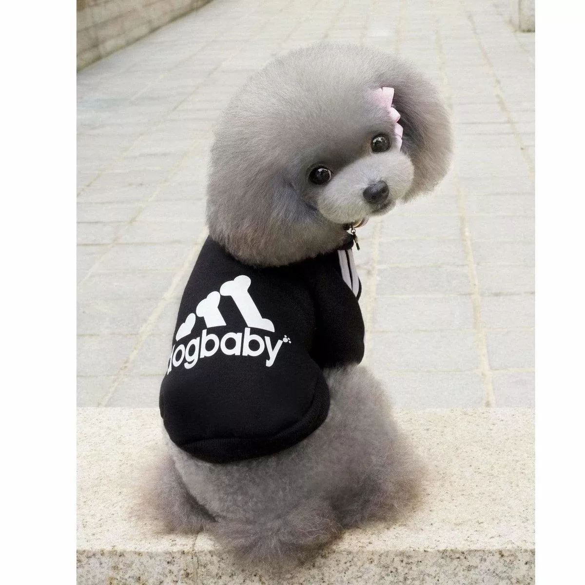 dog clothes Black XS L-83
