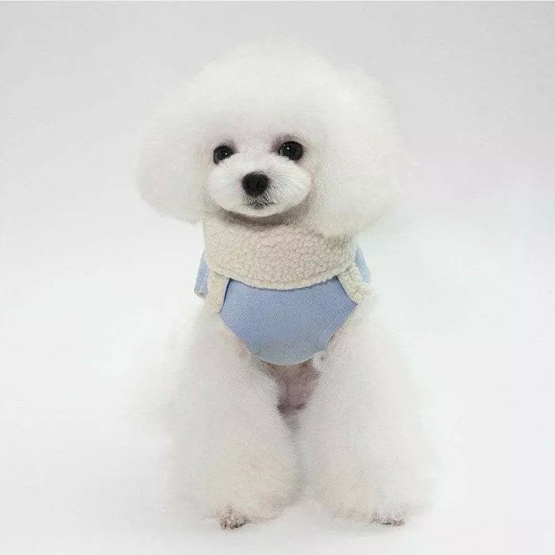 dog clothes blue M YP-201807047