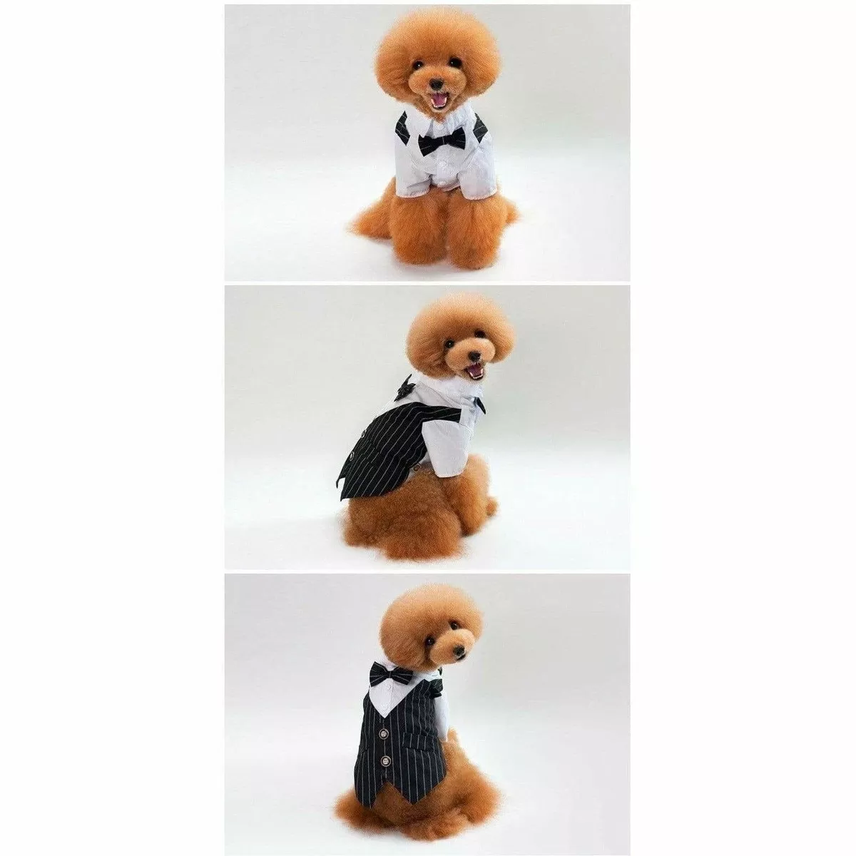 dog clothes Blue S KLN-1703BU